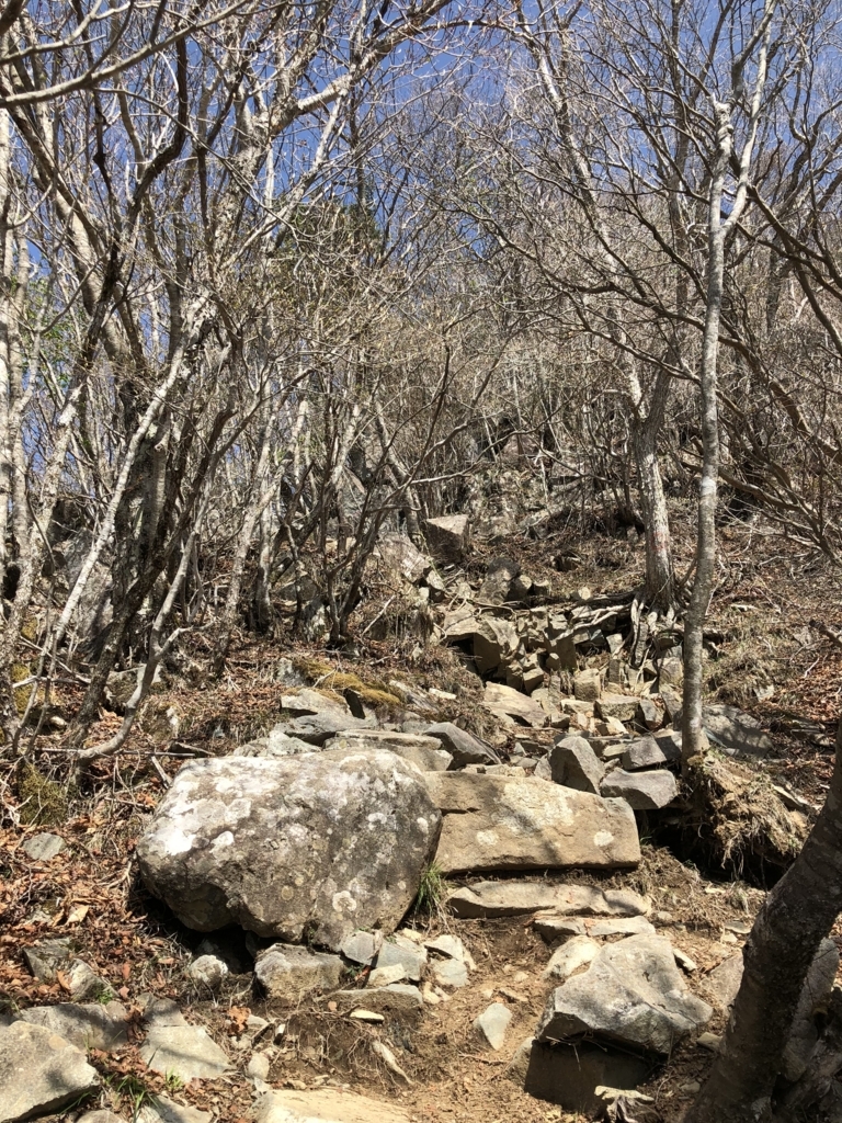 f:id:teoriahc:20180510194711j:plain