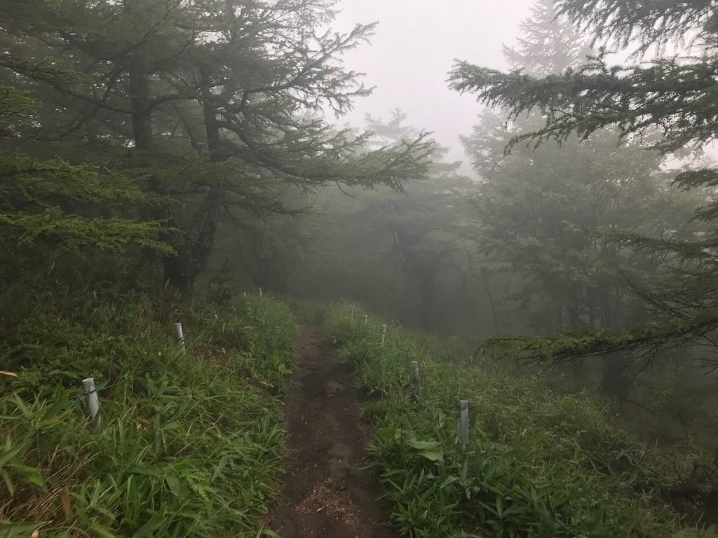 f:id:teoriahc:20180922200510j:plain