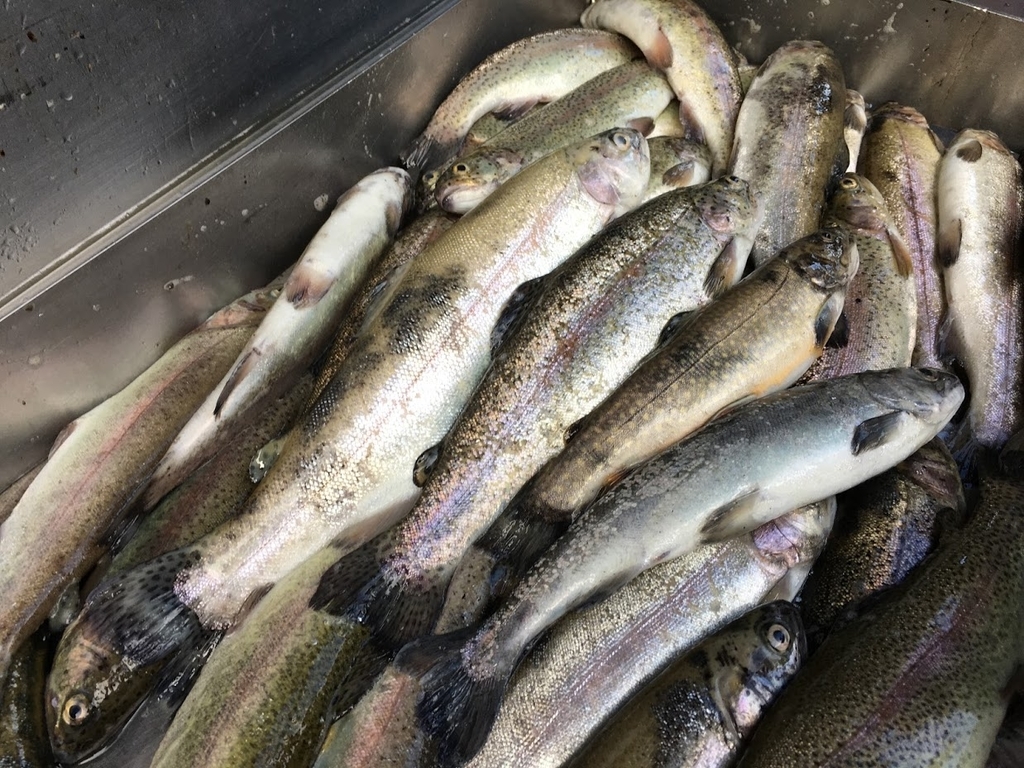 f:id:teoriahc:20180925165259j:plain f:id:teoriahc:20180925165259j:plain