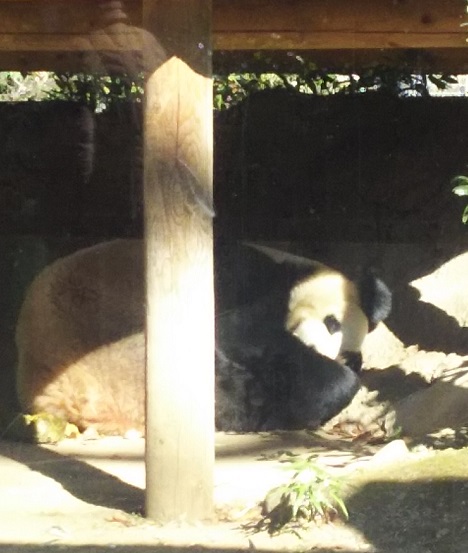 f:id:teoriahc:20190219090515j:plain