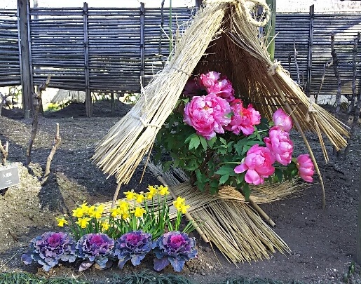 f:id:teoriahc:20190222092855j:plain