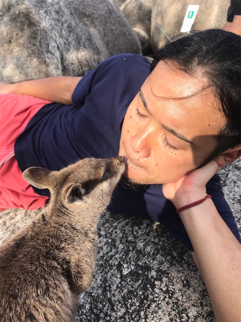 f:id:tepapepe:20180927222643j:image