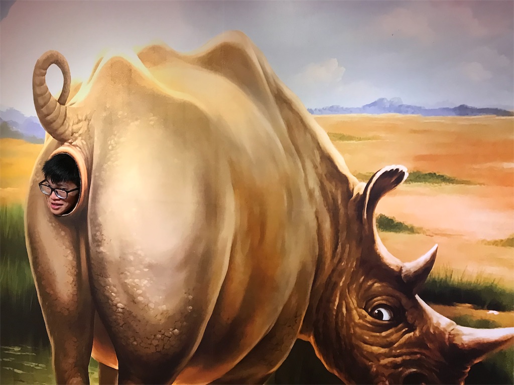 f:id:tepapepe:20190209155007j:image