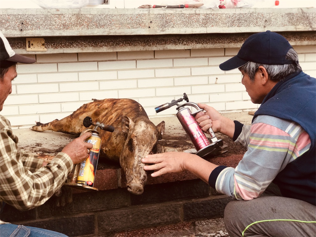 f:id:tepapepe:20190209155121j:image