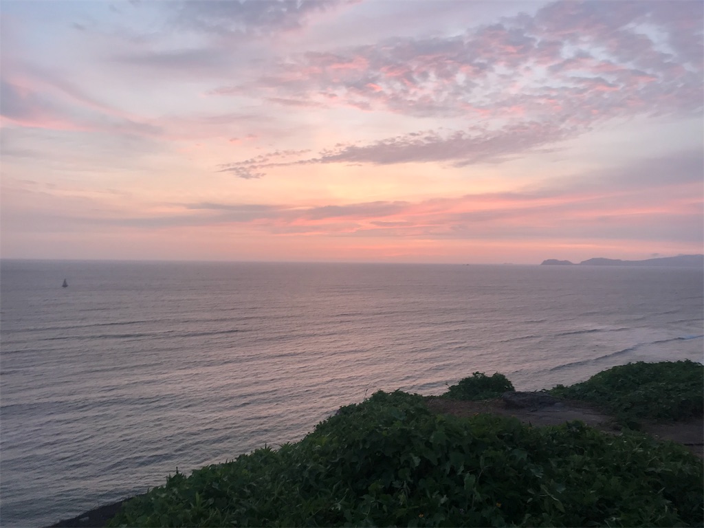 f:id:tepapepe:20190227023147j:image f:id:tepapepe:20190227023147j:image