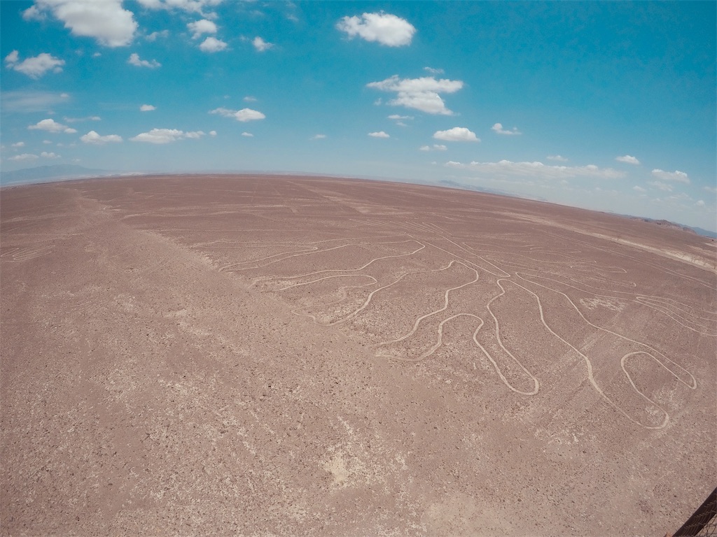 f:id:tepapepe:20190227024705j:image f:id:tepapepe:20190227024705j:image