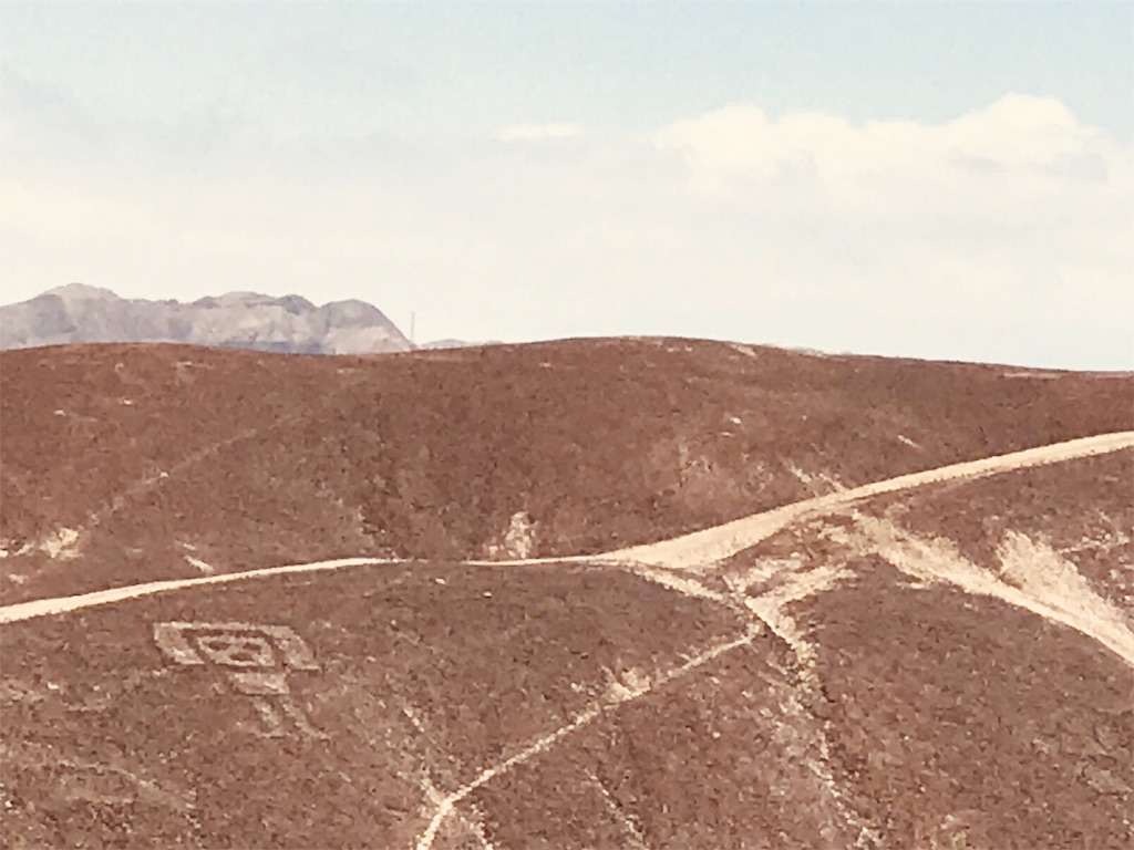 f:id:tepapepe:20190227024730j:image f:id:tepapepe:20190227024730j:image