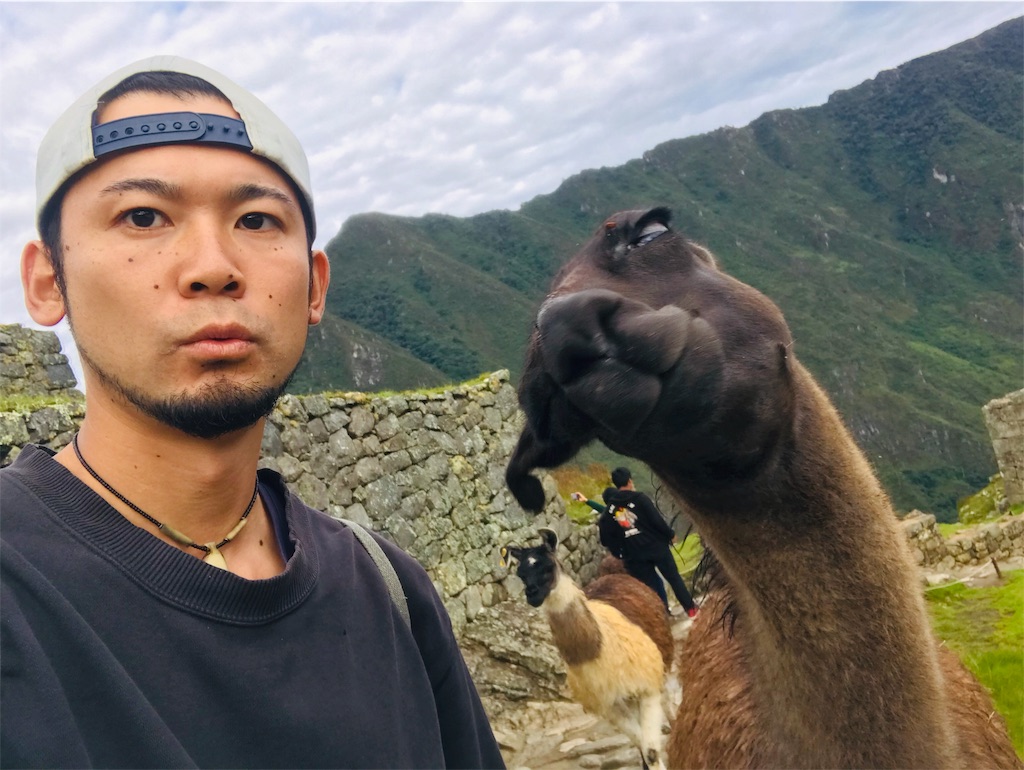 f:id:tepapepe:20190227031108j:image f:id:tepapepe:20190227031108j:image