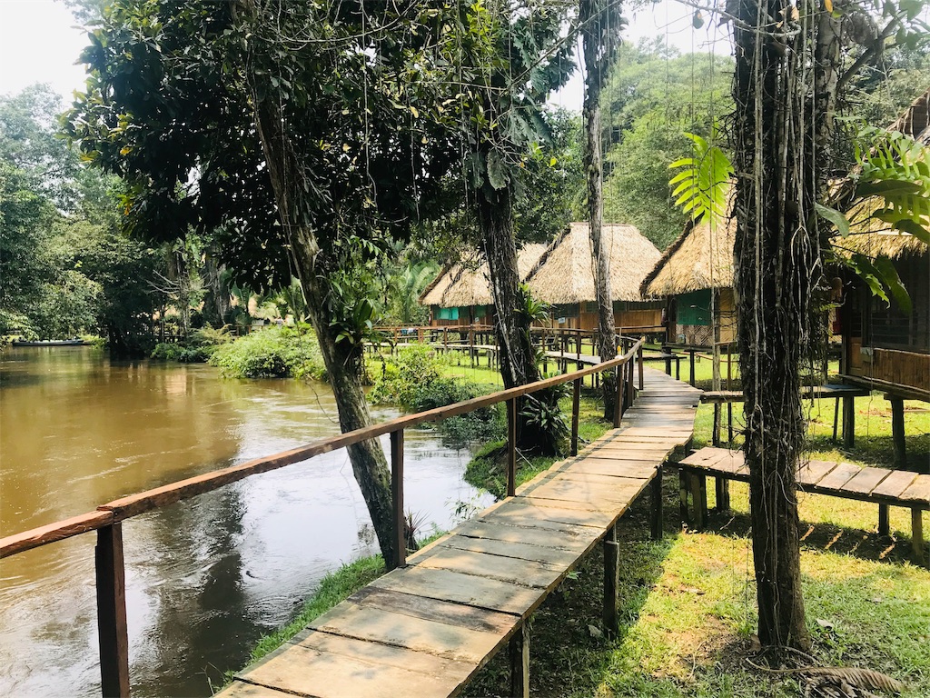 f:id:tepapepe:20190415144123j:image