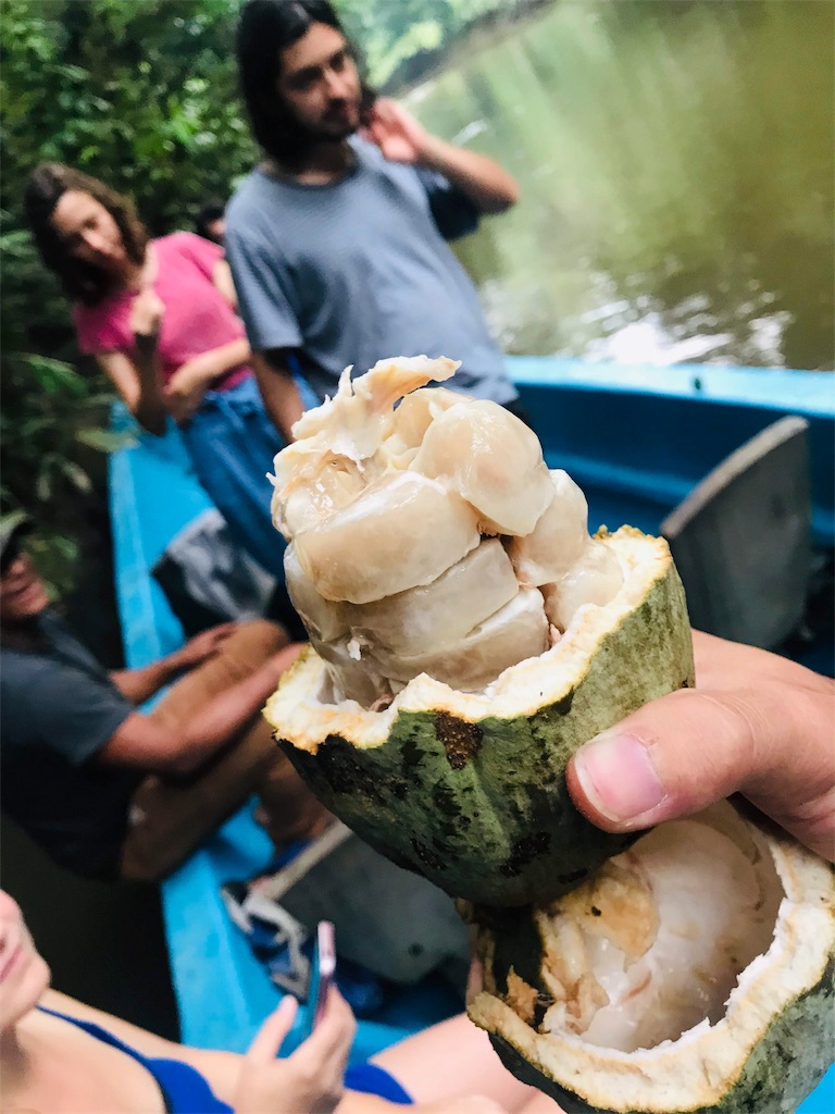 f:id:tepapepe:20190415163929j:image