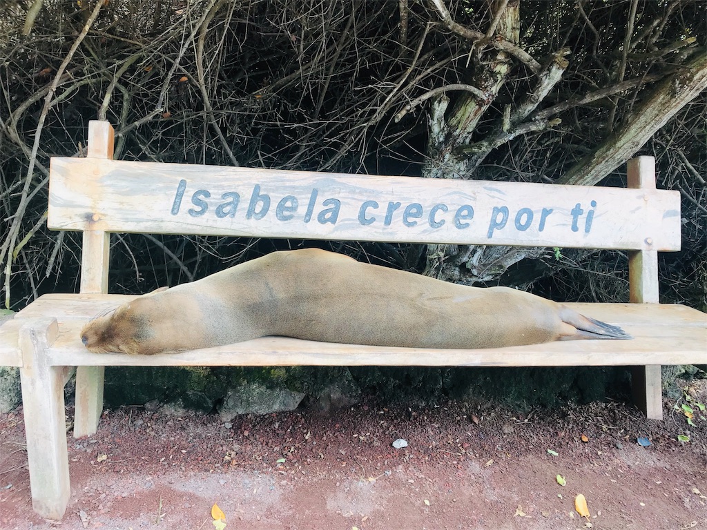 f:id:tepapepe:20190416102440j:image