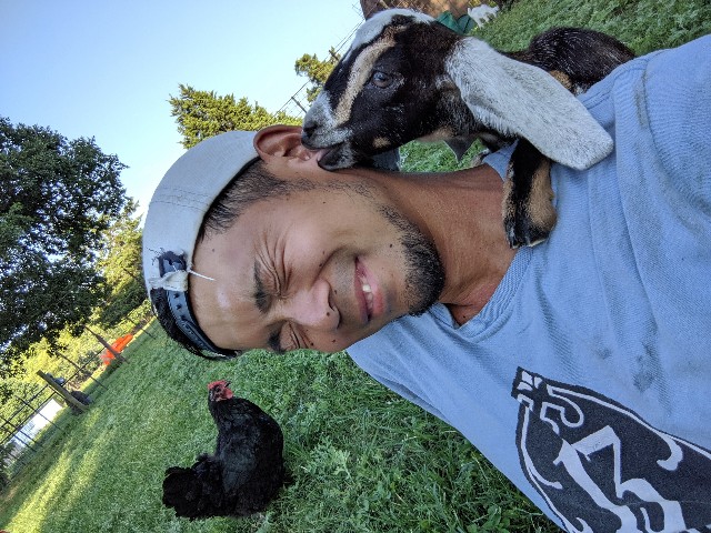 f:id:tepapepe:20190718113455j:image f:id:tepapepe:20190718113455j:image