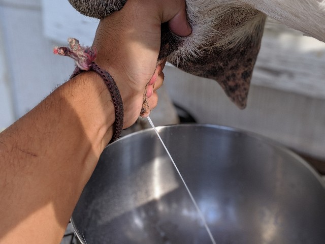f:id:tepapepe:20190718115530j:image f:id:tepapepe:20190718115530j:image