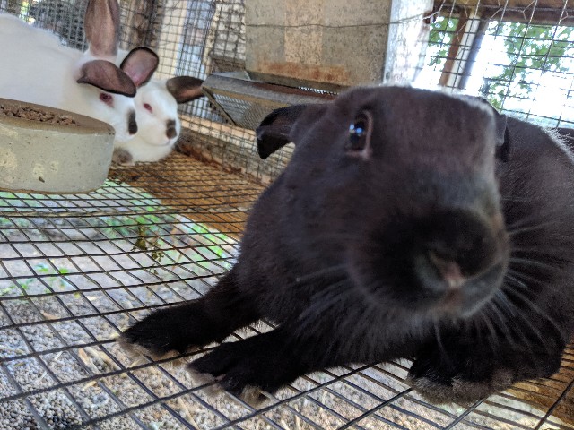 f:id:tepapepe:20190718120334j:image f:id:tepapepe:20190718120334j:image