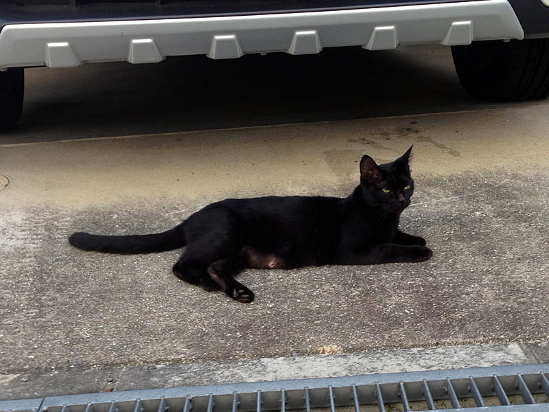 f:id:teppay75:20181225113402j:plain