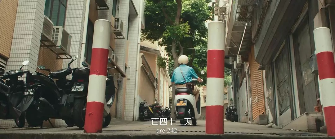 “骗骗”喜欢你