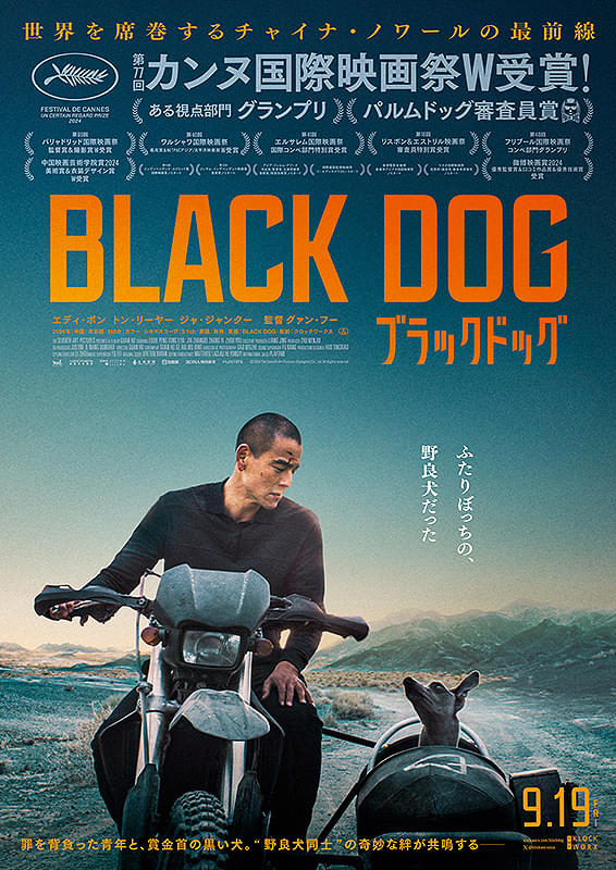 ブラックドッグ