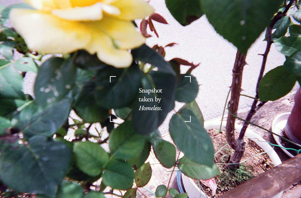 f:id:teppex0412:20190412011801j:plain f:id:teppex0412:20190412011801j:plain