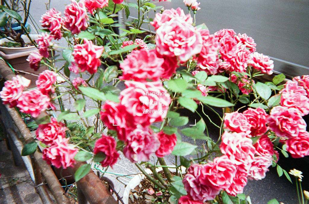 f:id:teppex0412:20190412011806j:plain f:id:teppex0412:20190412011806j:plain