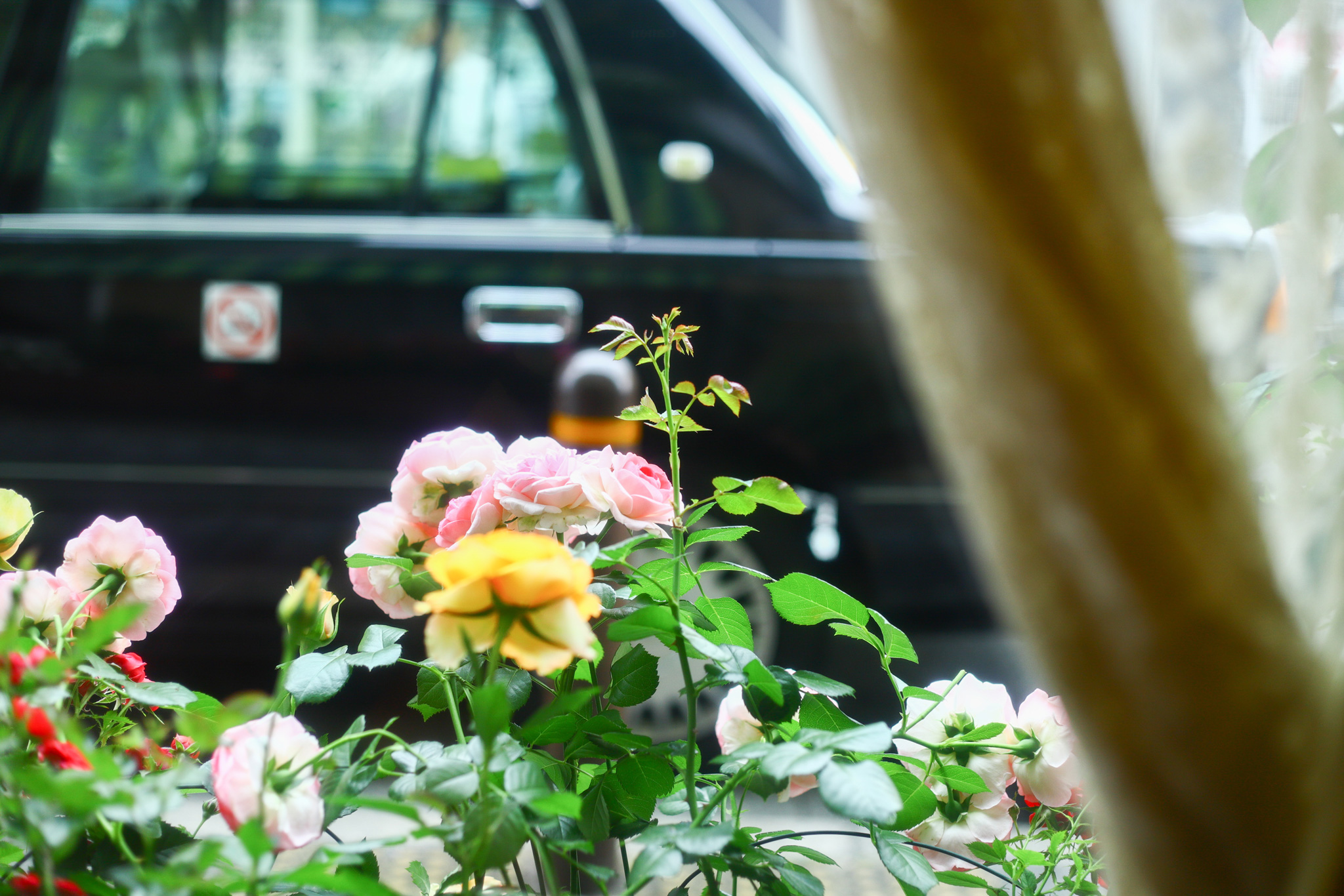 f:id:teppex0412:20190911223028j:plain f:id:teppex0412:20190911223028j:plain
