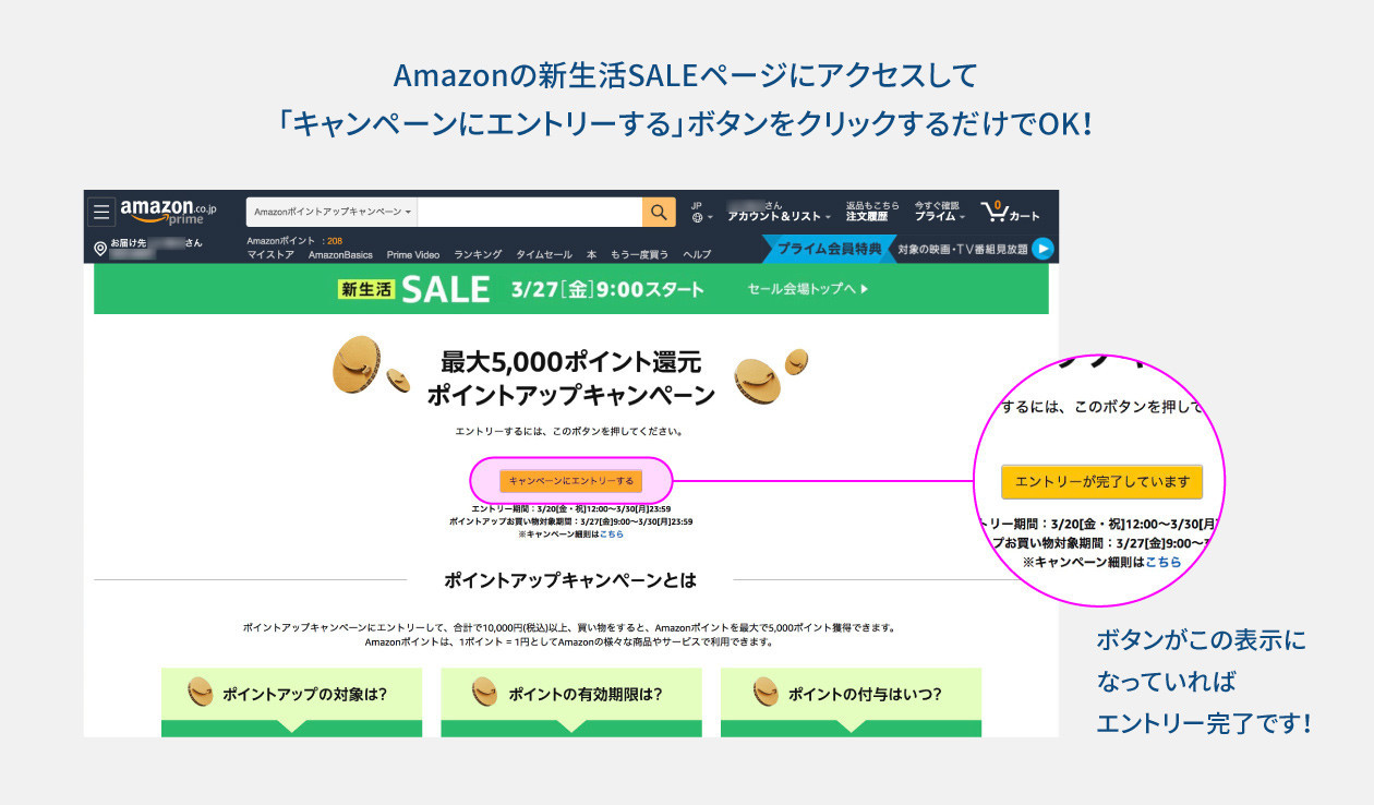 ポイントアップキャンペーン エントリーページの説明