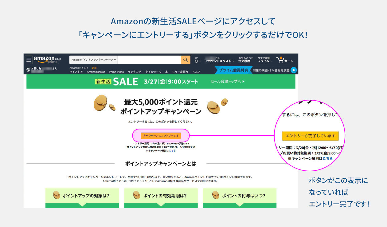 ポイントアップキャンペーン　エントリーページの説明