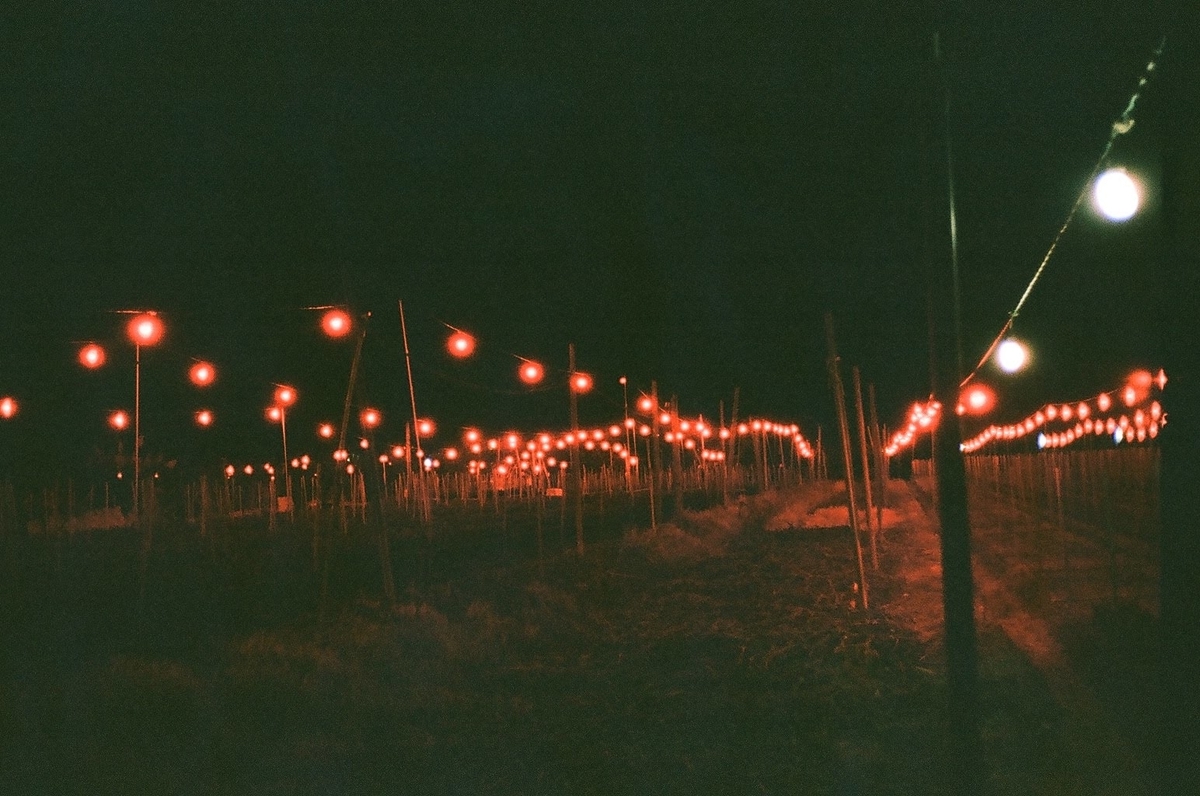 f:id:teppodone:20200224172842j:plain