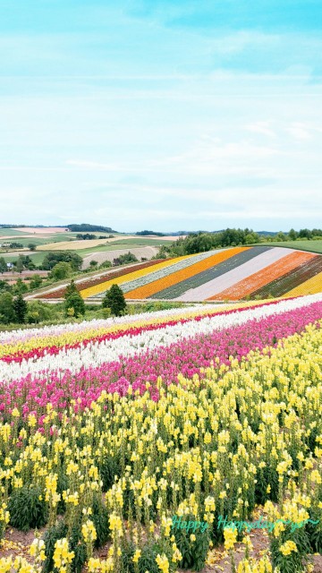 f:id:tepun55:20210902223323j:image f:id:tepun55:20210902223323j:image