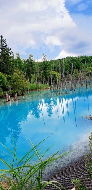 f:id:tepun55:20210902223609j:image f:id:tepun55:20210902223609j:image