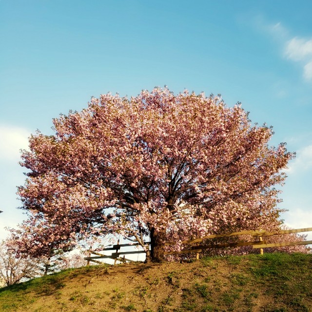 f:id:tepun55:20220507142141j:image