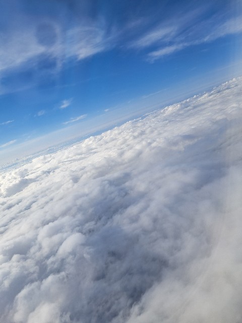 f:id:tepun55:20230509203819j:image