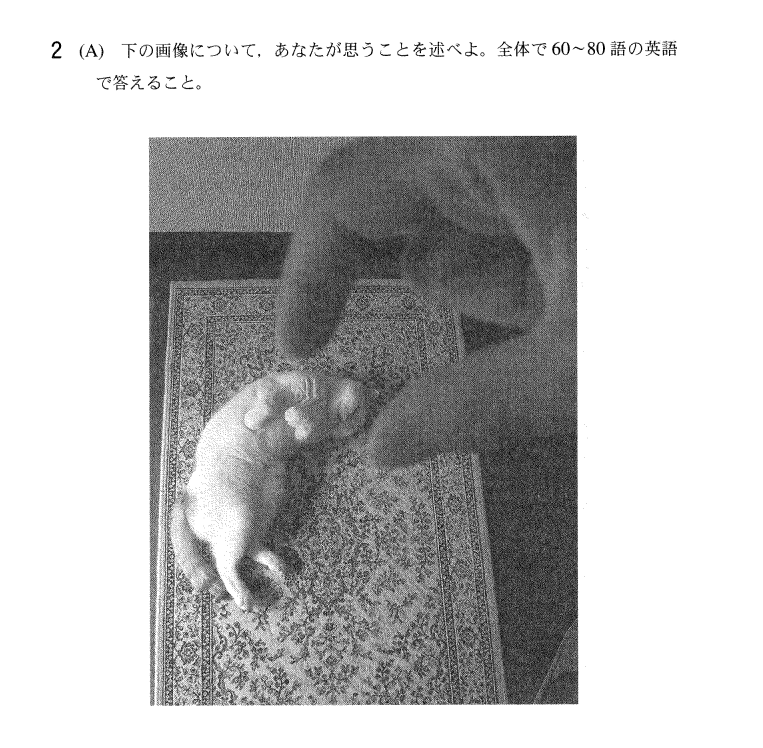 ☆東大対策の最適！東大過去問（文理系20年分）の問題・解答と解説DVD 