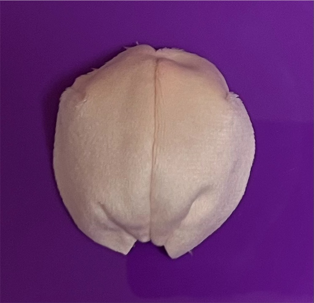 f:id:terakkuma:20230310151043j:image