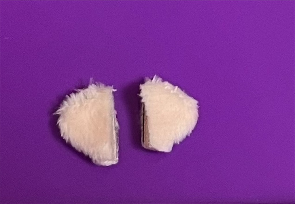 f:id:terakkuma:20230310164537j:image