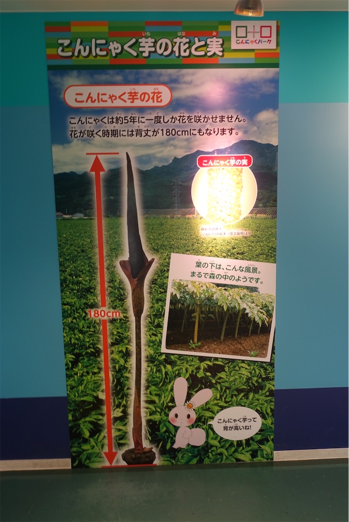 f:id:terako0322:20190905201714j:image f:id:terako0322:20190905201714j:image