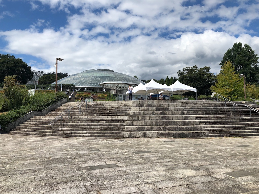 f:id:terako0322:20190908215543j:image f:id:terako0322:20190908215543j:image