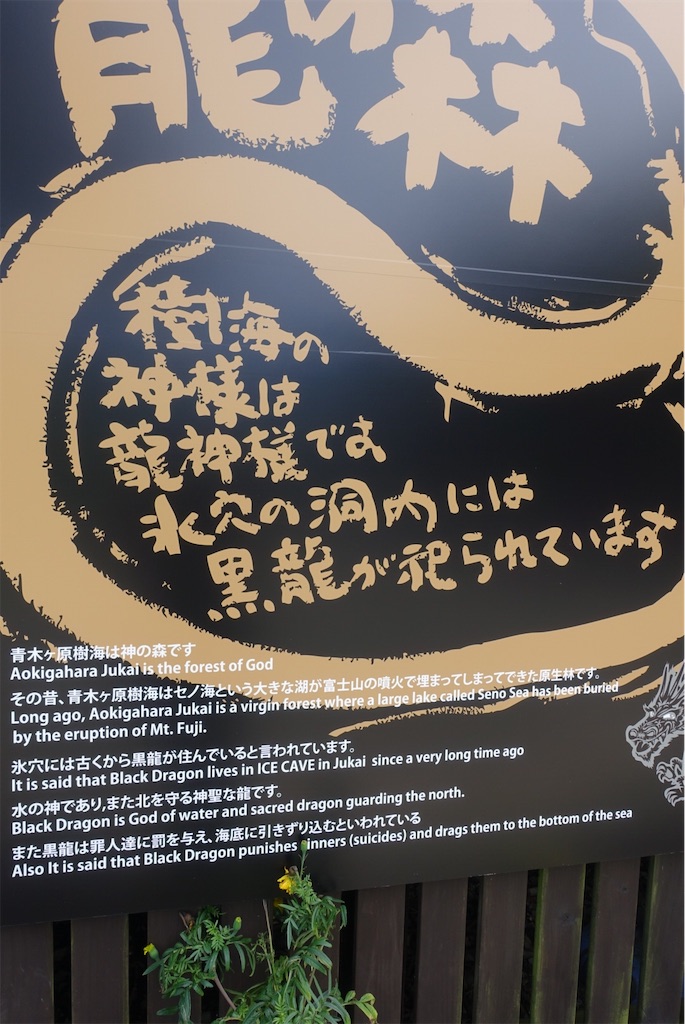 f:id:terako0322:20190910104841j:image f:id:terako0322:20190910104841j:image