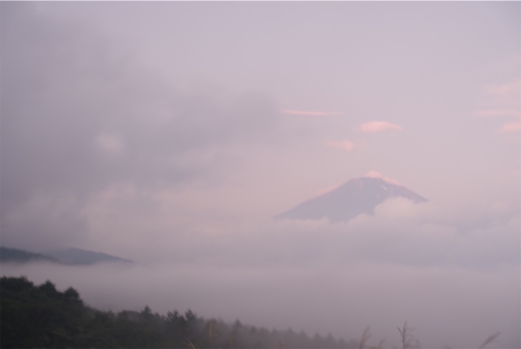 f:id:terako0322:20190911152652j:image f:id:terako0322:20190911152652j:image