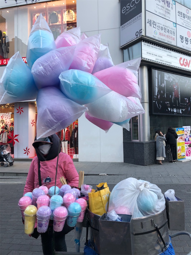 f:id:terakobuta:20181209135533j:image