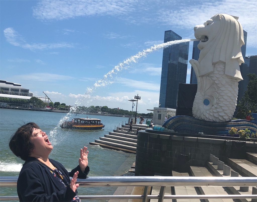 f:id:terakobuta:20190212153943j:image f:id:terakobuta:20190212153943j:image