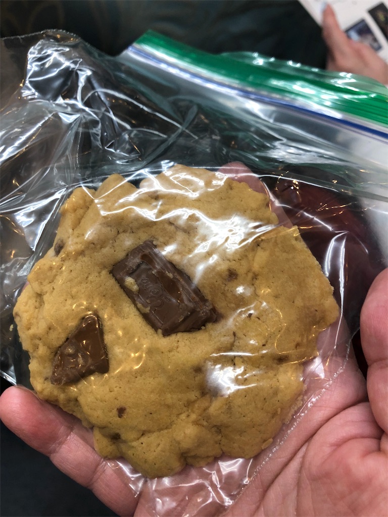 f:id:terakobuta:20190827100913j:image