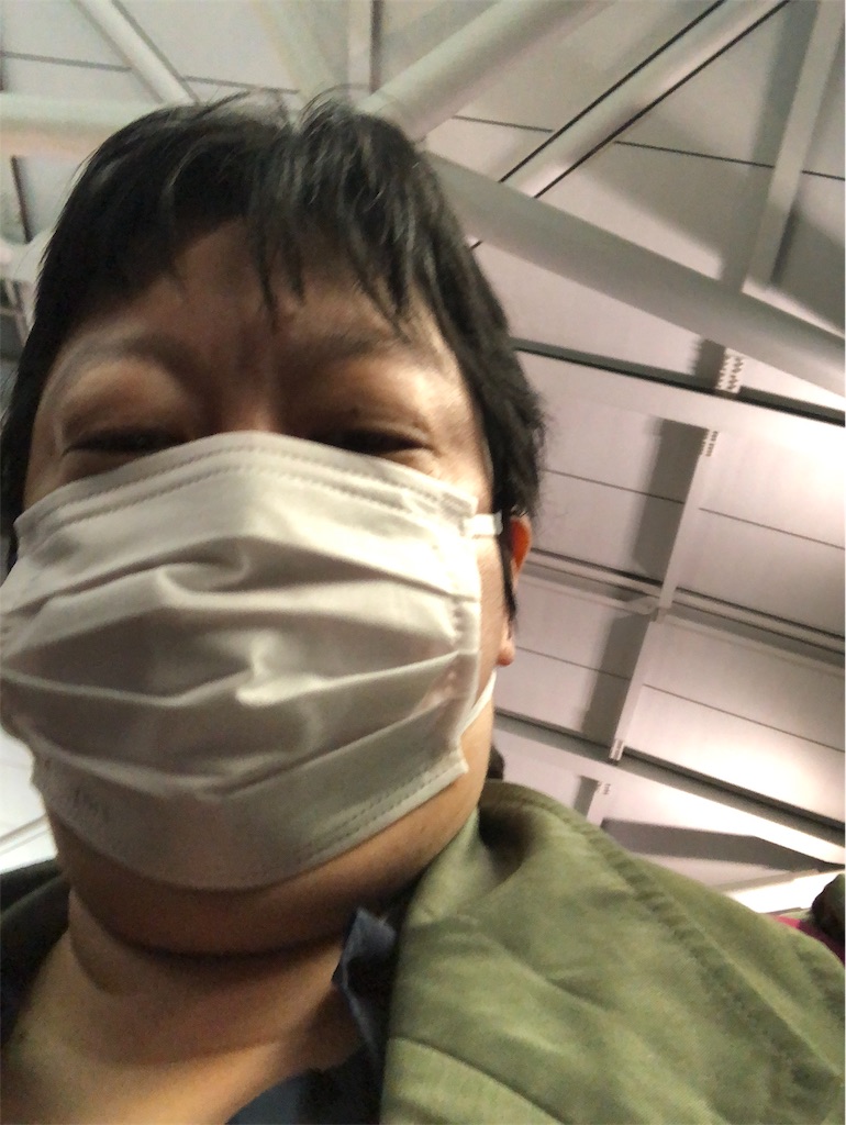 f:id:terakobuta:20200201083502j:image