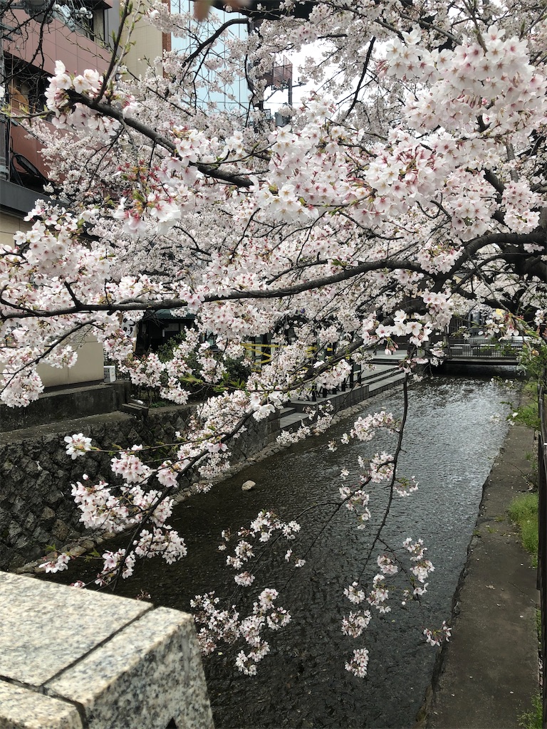 f:id:terakobuta:20200331130347j:image f:id:terakobuta:20200331130347j:image