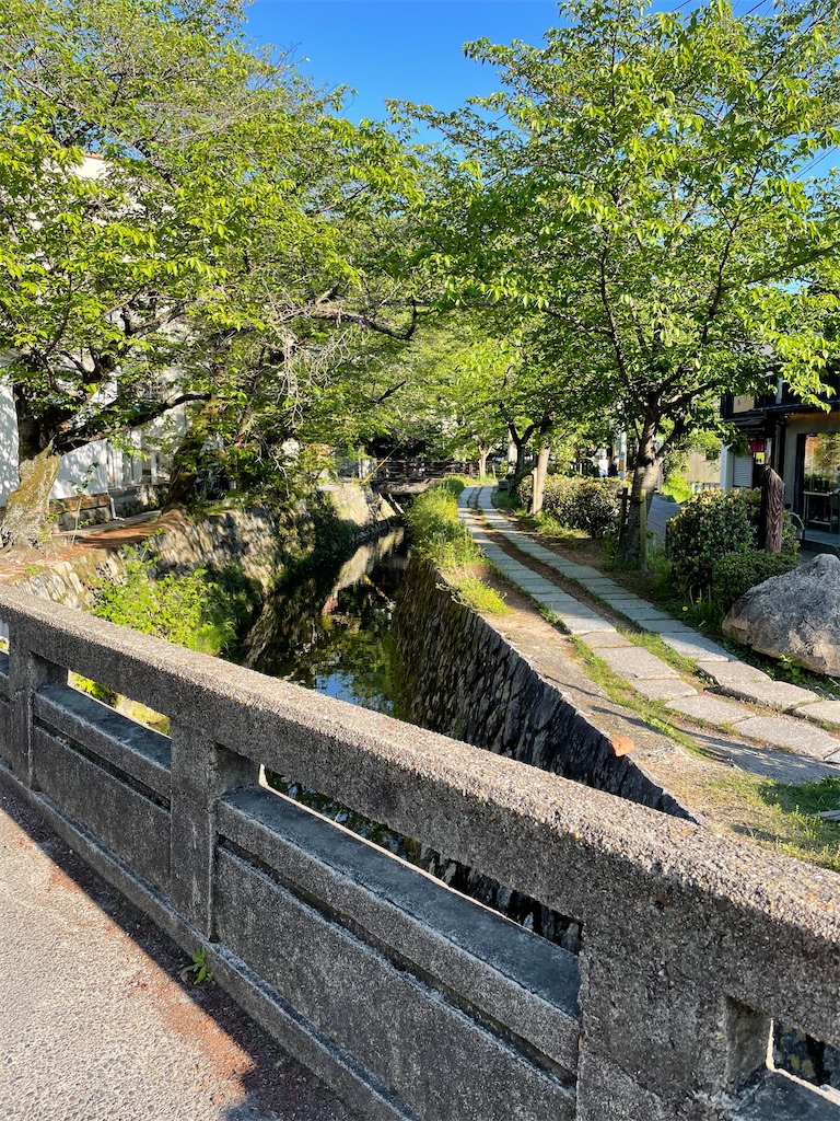 f:id:terakobuta:20210423045032j:image f:id:terakobuta:20210423045032j:image