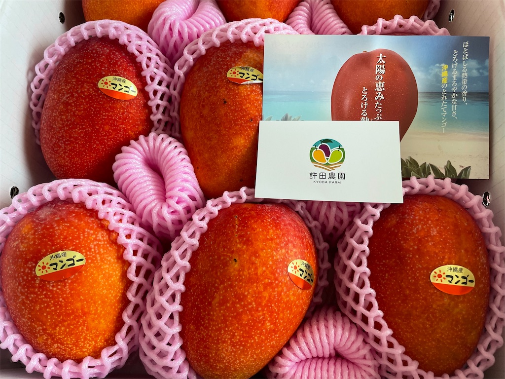 f:id:terakobuta:20210802102651j:image