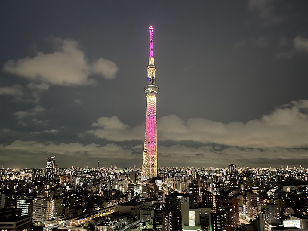 f:id:terakobuta:20210813055732j:image