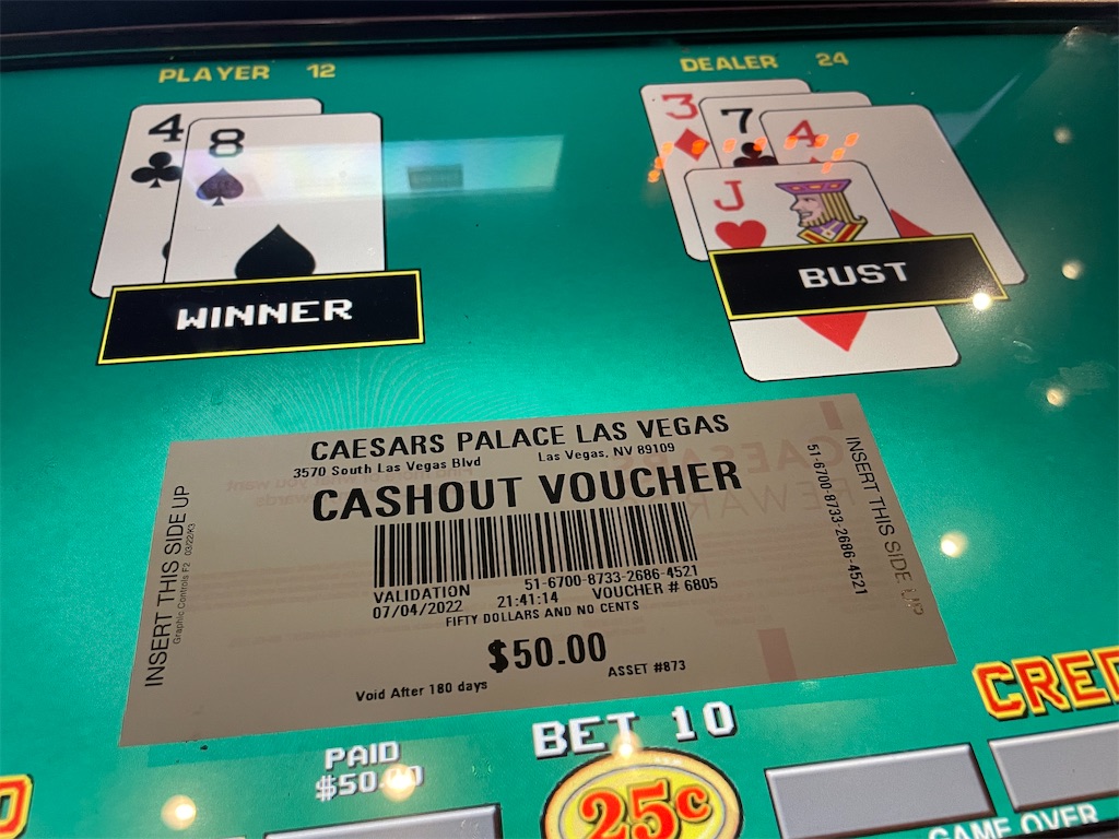 f:id:terakobuta:20220706072013j:image