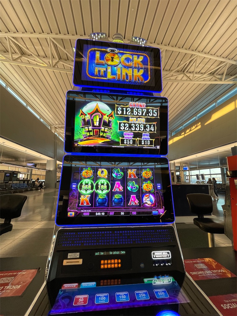 f:id:terakobuta:20220728014823j:image