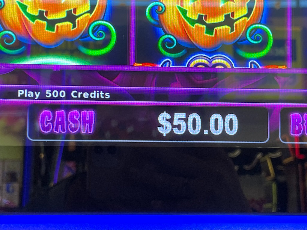 f:id:terakobuta:20220728014841j:image