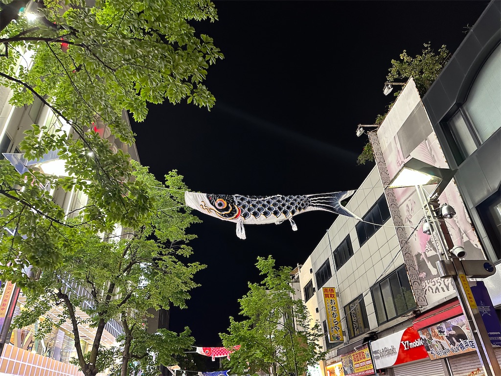 f:id:terakobuta:20230430113420j:image f:id:terakobuta:20230430113420j:image